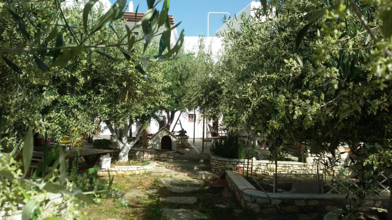 Sunset Studios And Apartments For Adults Over 21 Only Náousa Eksteriør billede
