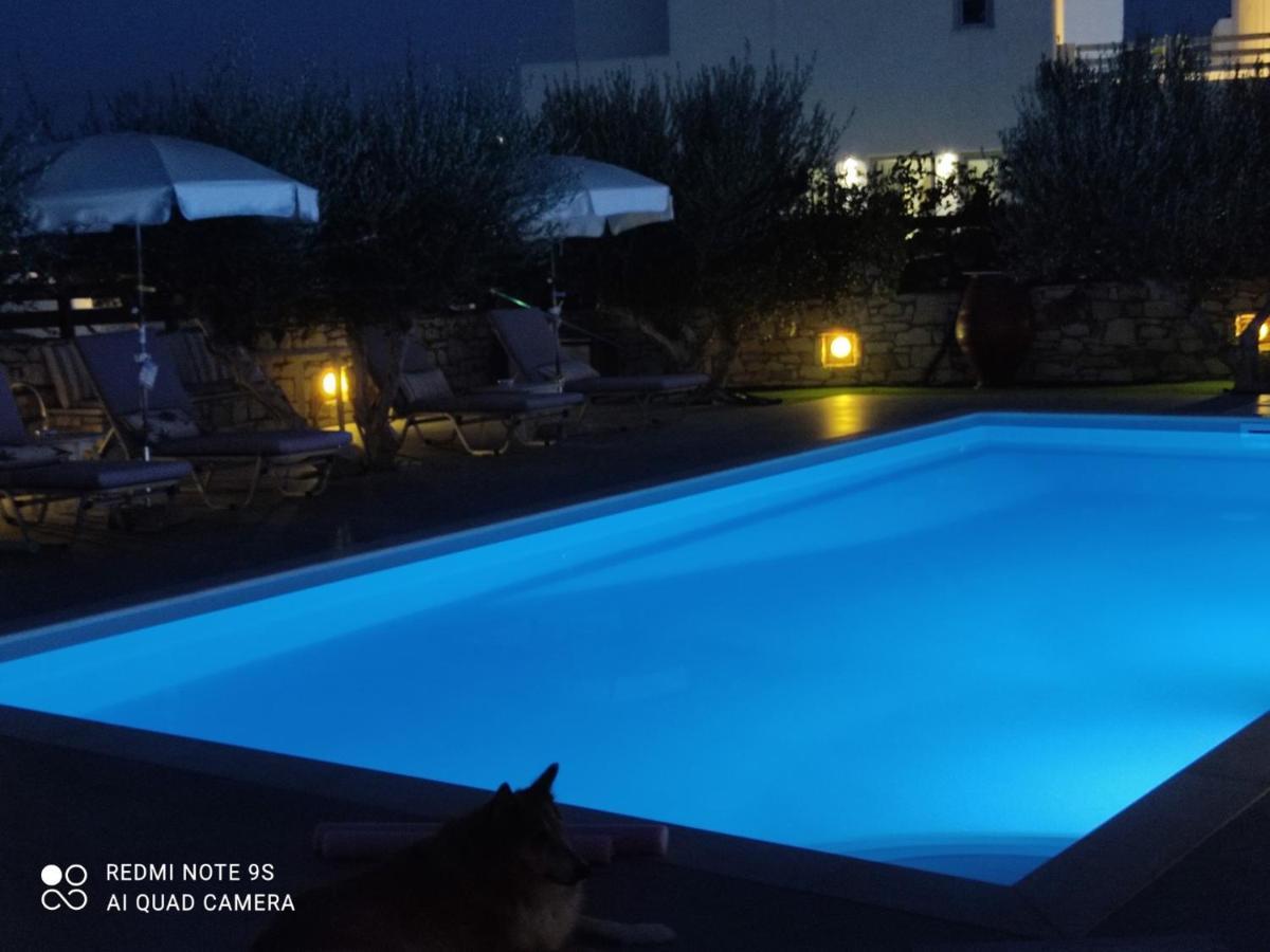Sunset Studios And Apartments For Adults Over 21 Only Náousa Eksteriør billede
